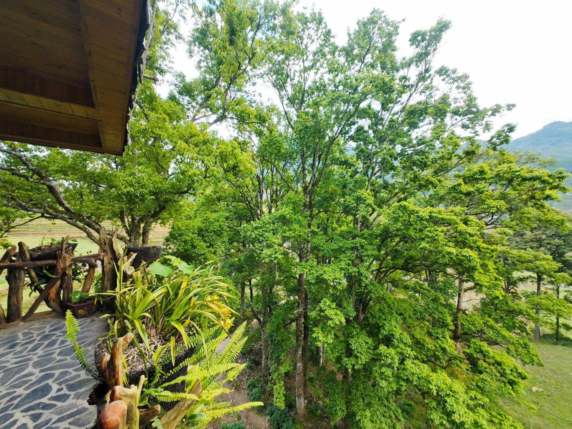 Mt House 3* Sa Pa